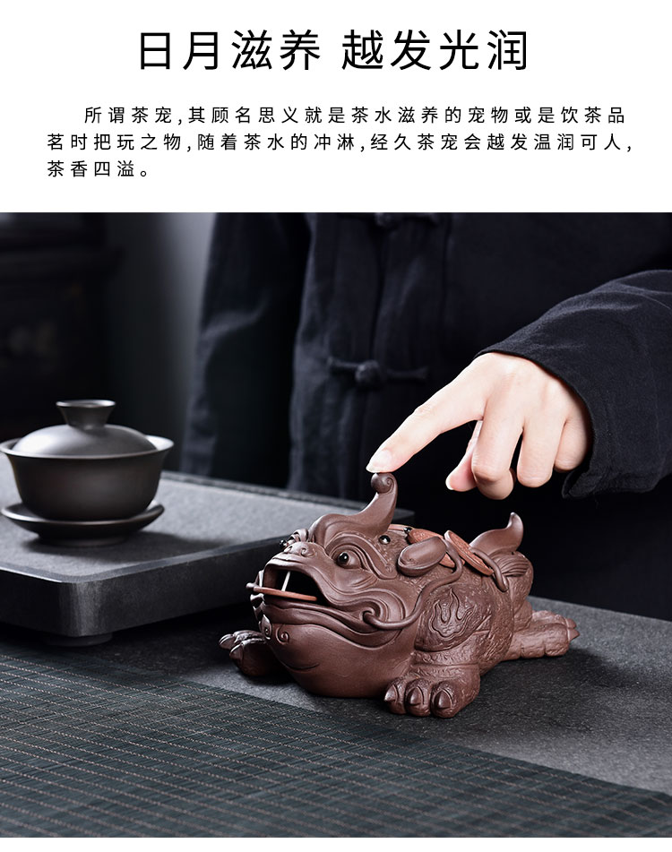 Tao blessing, violet arenaceous daikin pet toad tea to raise three lucky play tea sets and accessories tea fine toad furnishing articles