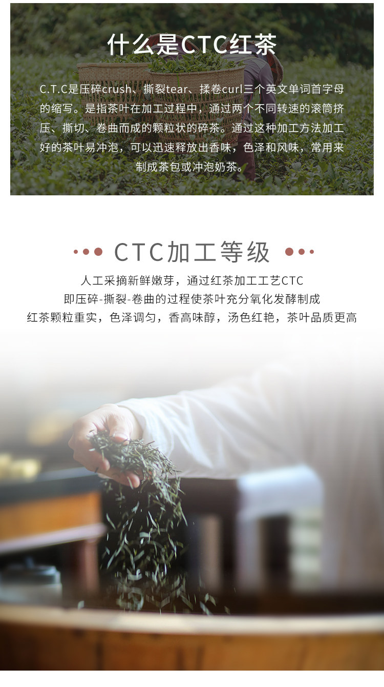 Guangxi Assam CTC Black Tea New_03.jpg