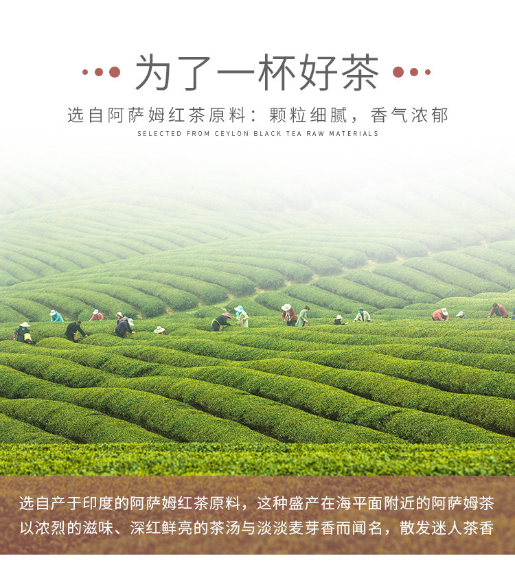 Guangxi Assam CTC Black Tea New_02.jpg