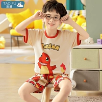 6640 Fire Dragon Boy