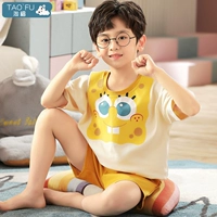 SDM53249 Желтая губка мальчик