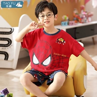 6652 Spider Boy