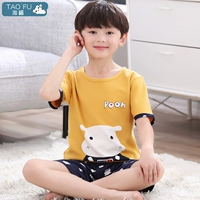 048 Гиппокамп мальчик