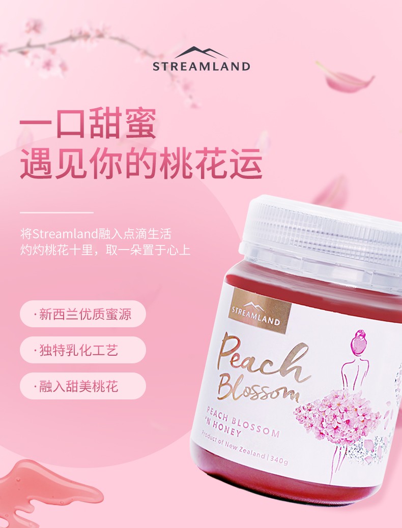 Streamland 新溪岛 & 茶桔便联名款 野地花蜂蜜  500g 图1