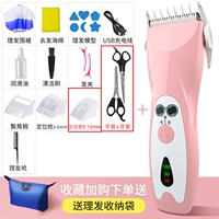 Порошюра-цифровое электричество принцессы+12 штук