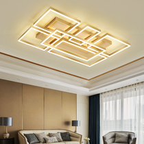 Living room lights Ceiling lights Rectangular atmosphere household simple modern creative personality light luxury villa hall lamps