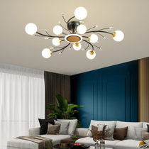 Lamp package Full house Composition modern minimalist Living room Light Extravagant Bedroom Restaurant Light Creative Personality Nordic Luminaire