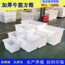 Food-grade plastic water tank aquaculture box thickened beef tendon square box large rectangular turnover box bubble tile box