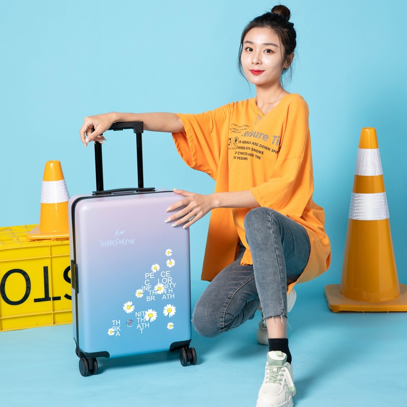 Datu luggage female small daisy trolley case male 24 inch student trolley case small fresh password box travel box