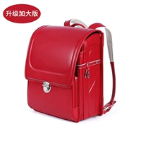 Выходная версия Begonia Red-Encreaming Edition