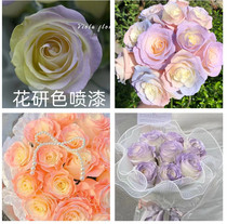 Flower spray paint spray colorant dye original Michigan Internet celebrity crushed ice blue flower color brand Morandi color