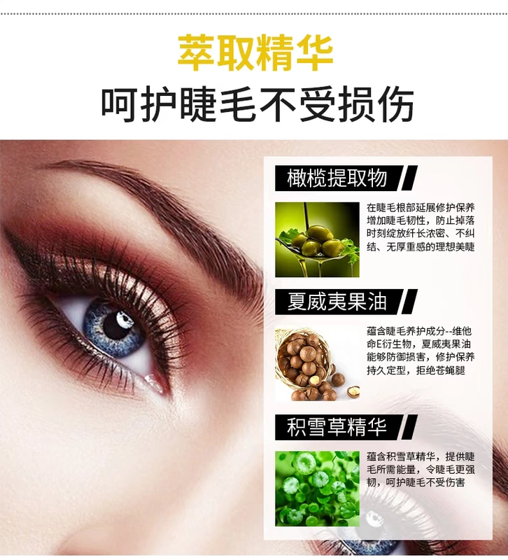 Beauty Beauty Network Red Mascara Biến thái lâu Không thấm nước Không bị nhòe Long Curl Mã hóa Rung siêu dài Chính hãng - Kem Mascara / Revitalash