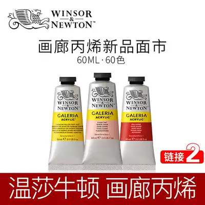 Windsor Newton Gallery Acrylic Paint Handpainted Wall Painting Beginner DIY Art Paintings 60ml-2