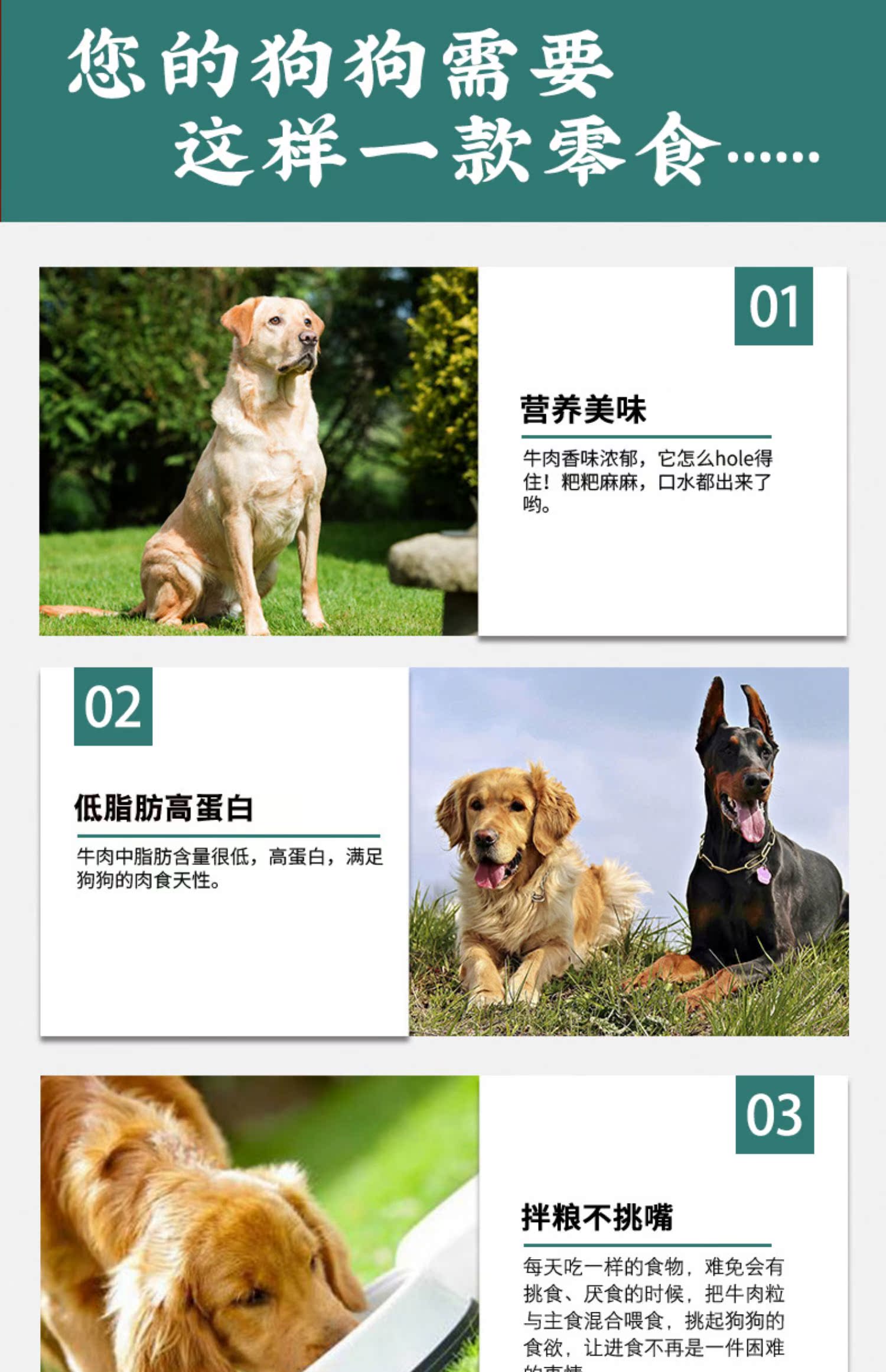 Tại chỗ Thuyền trưởng Chó ăn vặt Thịt bò Thịt bò Dải Golden Retriever Pet Canxi Đào tạo Phần thưởng Đồ ăn nhẹ Spree - Đồ ăn vặt cho chó hạt cho poodle
