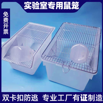 Laboratory rat cage rats small white rat breeding cage with rat breeding box transfer cage large number ivc custom sd