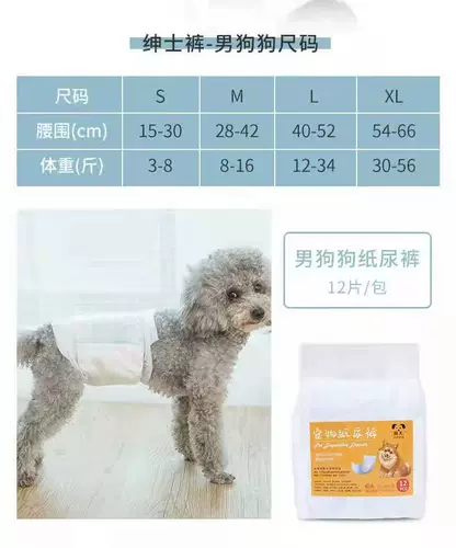 Мальчик -собака физиологические штаны безопасные менструальные брюки