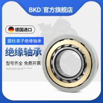 German BKD cylindrical roller NU218EM Insulation bearings 220 copper Po 2 3000V inside and outside insulation P4 P5