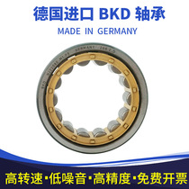 Germany BKD imported bearings NJ202EM NJ203EM NJ204EM NJ205EM NJ206EM P5 P4