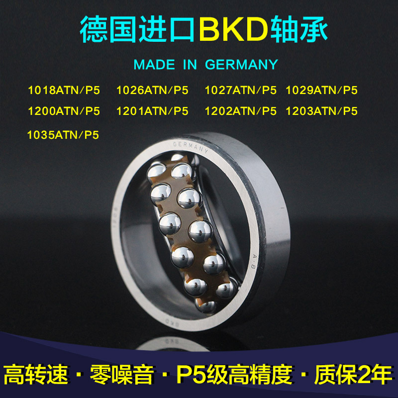 Germany BKD imported bearings 1200 1201 1202 1203 1204 1205 1206 1207 1208K