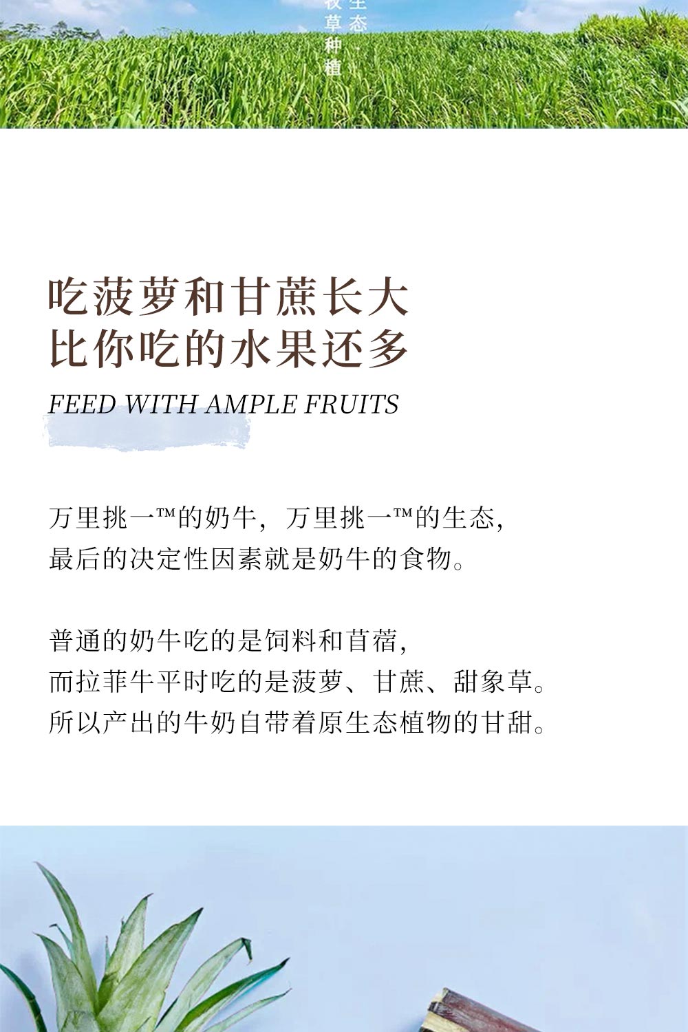 乐纯万里挑一拉水牛奶儿童宝宝整箱12盒/箱