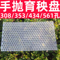 434-hole seedling pot seedling tray artificial seedling throwing hand throwing tray plastic transparent new material no need to expose rice 353 holes 561
