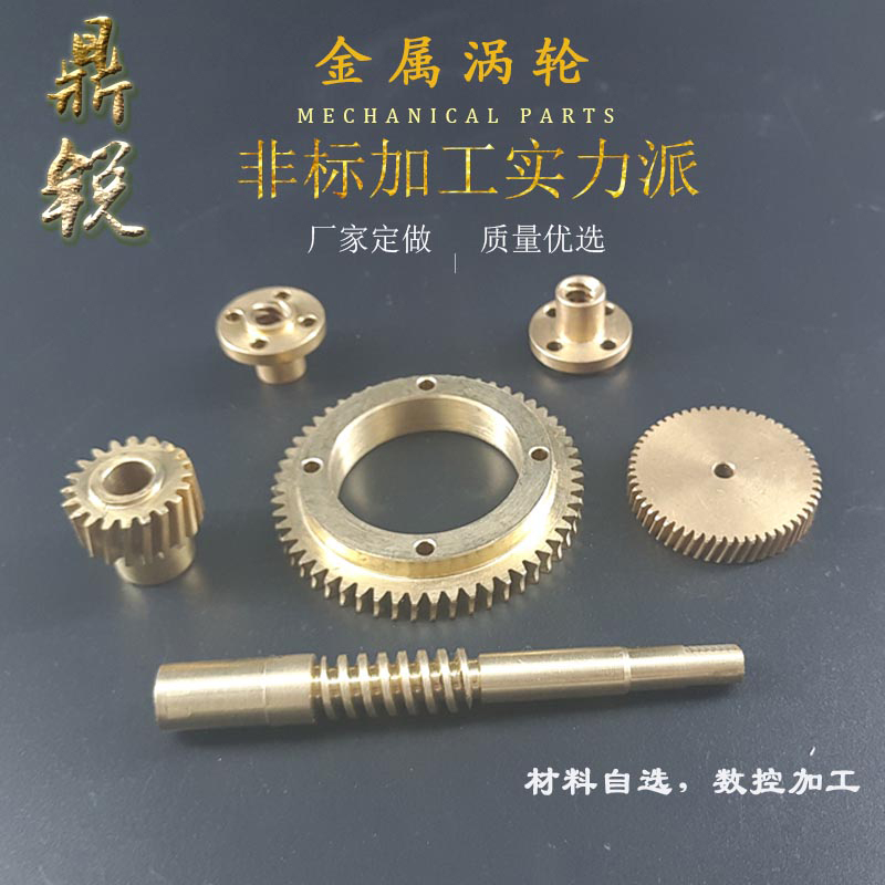 Manufacturer nylon 45 steel 0.30.40.5M processing customized small copper worm gear gear worm processing