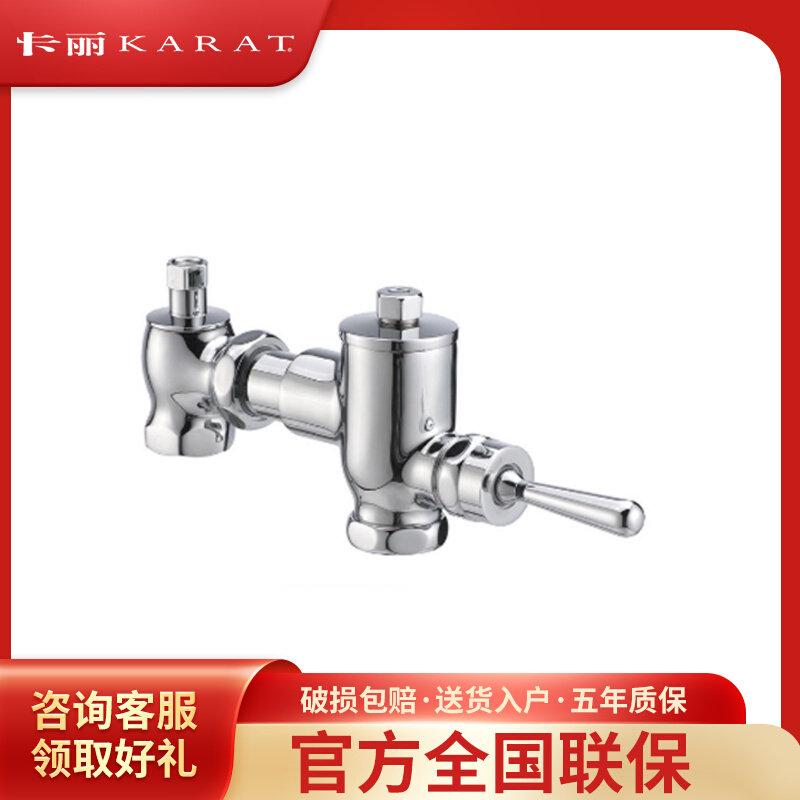 Köhler's Carli Toilet Large Closet Squat Pit Squatting toilet Toilet Hand Press Type Flush valve switch Full copper 17903T-C