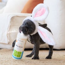 Oxyfresh oxygen oxygen novelty pet cleaning water mouthwash cats go to stinking tooth stone 473ml