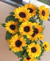 The little sunflower is 10 seconds to kill.