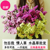 Homemade dry flowers full Star lover Grass Crystal Grass Mix dont forget I deserve grass Yunnan flowers Direct Express