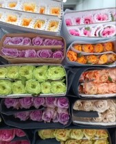 The Rose is full of 2 pieces and a single one is not developed