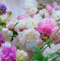 Change of purchase order for a single pat on the back of an undone (unlimited)