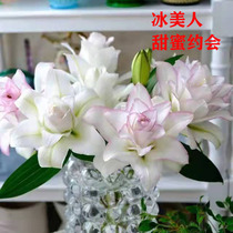 A Class A Heavy Lobe Ice Beauty 3 Bull Seconds Kill