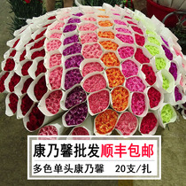 Yunnan Kunming Single-Head Carnations Flowers Flowers Straight Batch Fresh Cut Flowers A-Za Teachers Day floral courier base