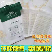 Secrets of the Little Gongju South Korea VT Van Pox Pimple Stick to 48 Invisible Towns