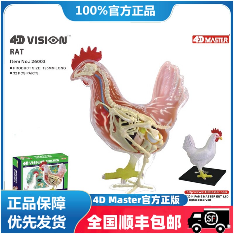 4D Master益智拼装玩具仿真动物生物鸡器官解剖医学用教学模型