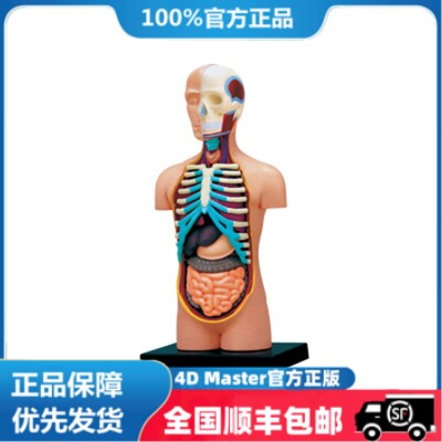 正版 现货  4D MASTER 益智拼装玩具 人体内脏器官解剖模型 医学