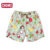 Красочный цвет цветов Z185