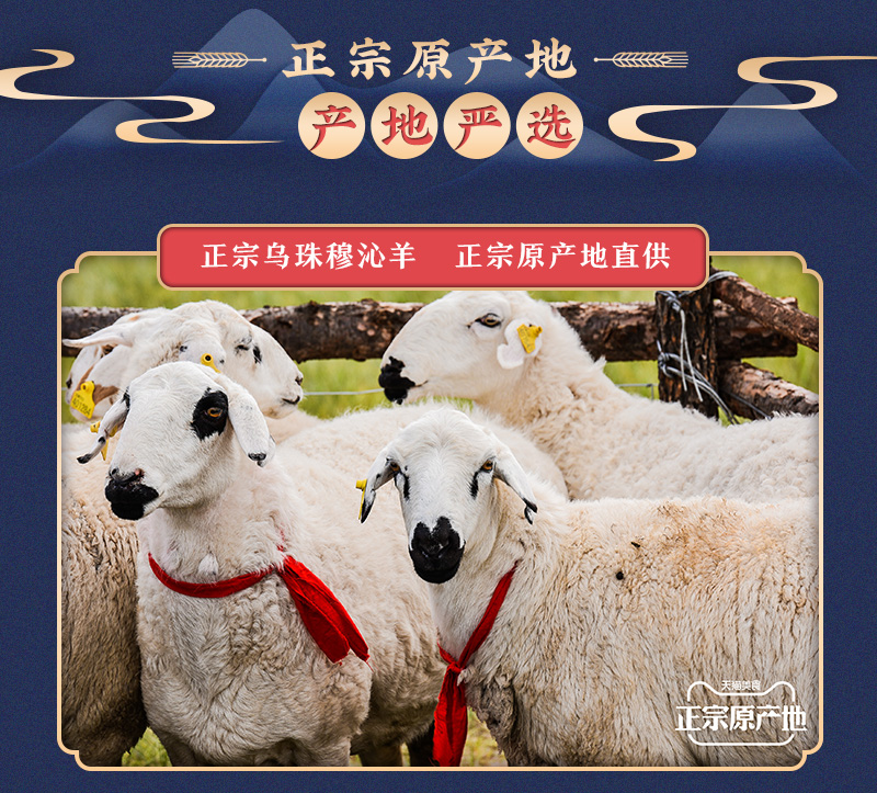 额尔敦 内蒙羔羊 法切羊排 760g/12支左右 图2