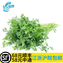(Blue Label)Fresh Fine-leaf Celery Chervil British Coriander Chervil Western Spices 100g non-parsley