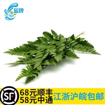 (Blue brand)Fresh poplar leaf Poplar leaf Mango leaf Alpine sheep teeth hotel Western decoration plate 50g