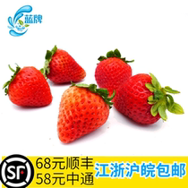 (Blue brand)fresh strawberry fruit red beauty strawberry pick-now-hair cream cake shop non-Dandong 350g