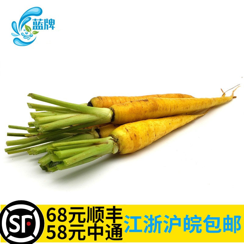 Baby Heirloom Yellow Carrots Baby Heirloom Yellow Carrots Baby Heirloom Yellow Carrots Baby Heirloom Yellow Carrots Baby Heirloom Yellow Carrots Baby Heirloom