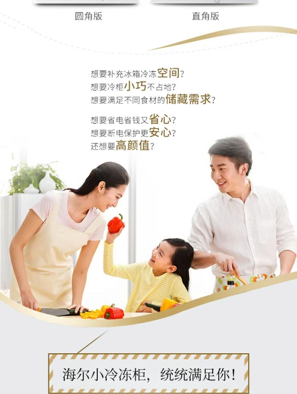 Haier / Haier BC / BD-202HT / tủ đông nhỏ nhà 202L tủ đông thương mại ngang tiết kiệm năng lượng tại nhà - Tủ đông