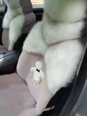 Changan CS35 winter car seat cushion cs55 seat cover GAC Chuanqi GS4 all-inclusive plush 75 seat cover long hair