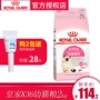 Gừng thú cưng thức ăn cho mèo hoàng gia Pháp k36 mèo con 2kg công thức tăng trưởng 12 tháng tuổi dưới đây đặc biệt - Cat Staples Các loại pate cho mèo