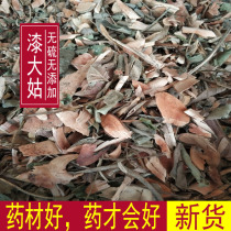 Chinese herbal medicine Lacquer Da Gu Mao Lacquer Maoqige Maoqigong Da Maoqi 500g Lacquer Da Gu