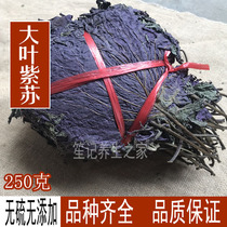 Perilla leaf fresh wild perilla leaf dried edible perilla tea roast fish to remove fishy 250g perilla