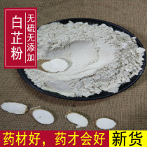 Chinese herbal medicine freshly ground white powder Angelica dahurica powder white powder facial mask powder 500g