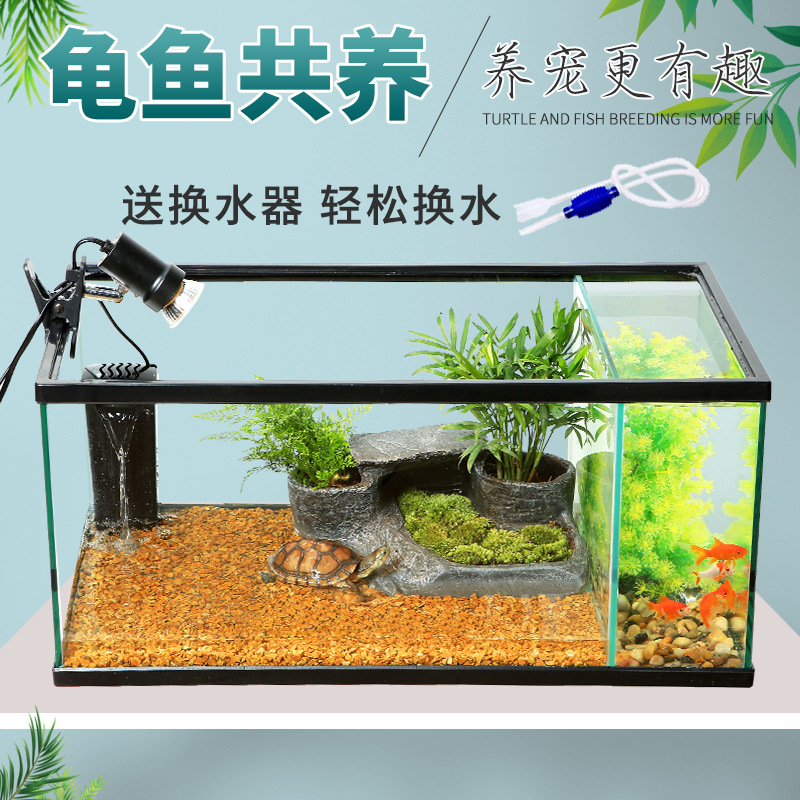 Glass turtle tank with sun-drying platform aqua and land tank ecological water and land tank raising turtle tank fish tank turtle tank fish turtle mixed culture tank